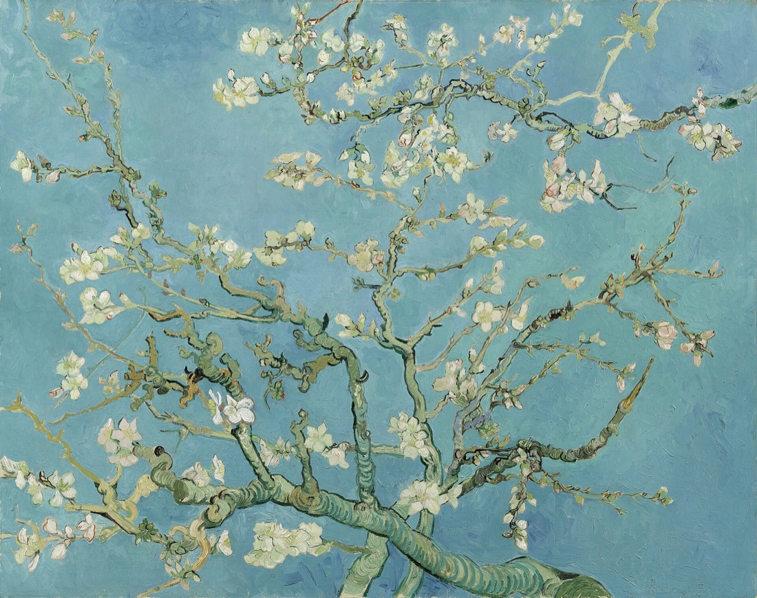 Almond Blossom — Vincent van Gogh